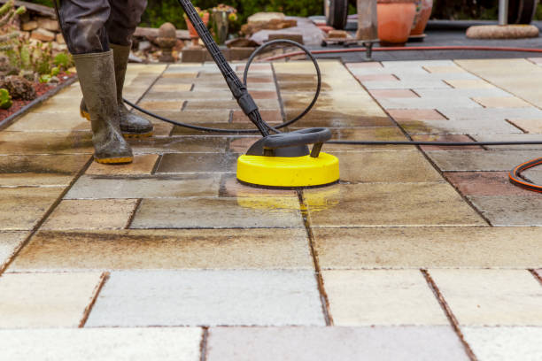 Reliable La Grulla, TX Pressure Washing Services Solutions
